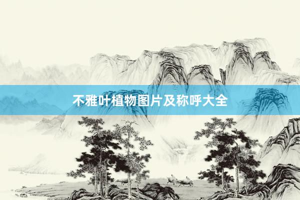 不雅叶植物图片及称呼大全