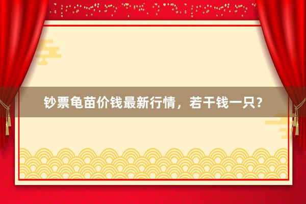钞票龟苗价钱最新行情，若干钱一只？